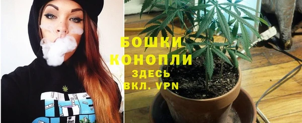 стаф Новокубанск