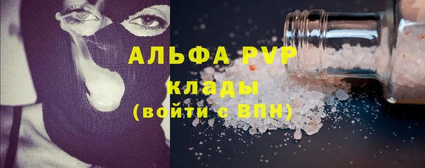 стаф Новокубанск