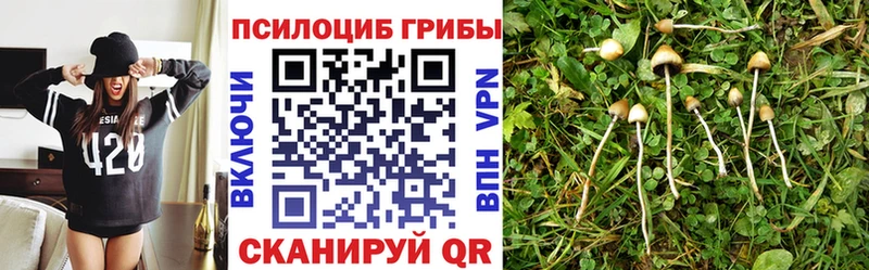 закладка  Рыбное  Галлюциногенные грибы прущие грибы 